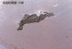 局部的損傷・欠損
